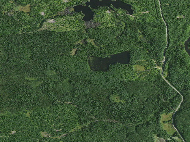 Aerial image of Leonard Pond Campsite (Grass River Wild Forest)
