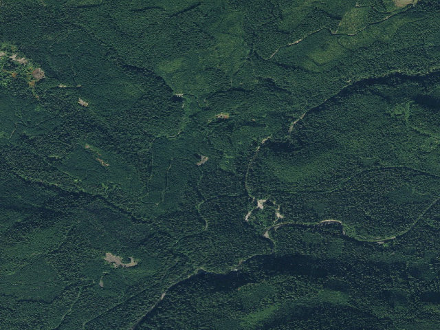 Aerial image of Lewis River Hc