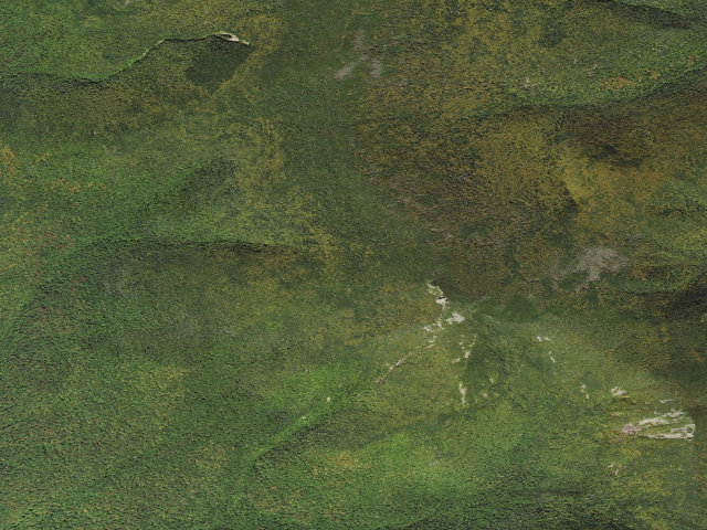 Aerial image of Liberty Springs