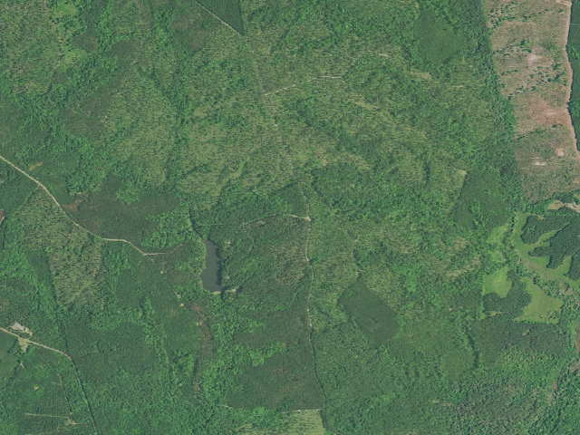 Aerial image of Lick Fork Lake