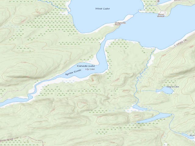 USGS topographic map of Lilly Lake #4 (Ferris Lake Wild Forest)