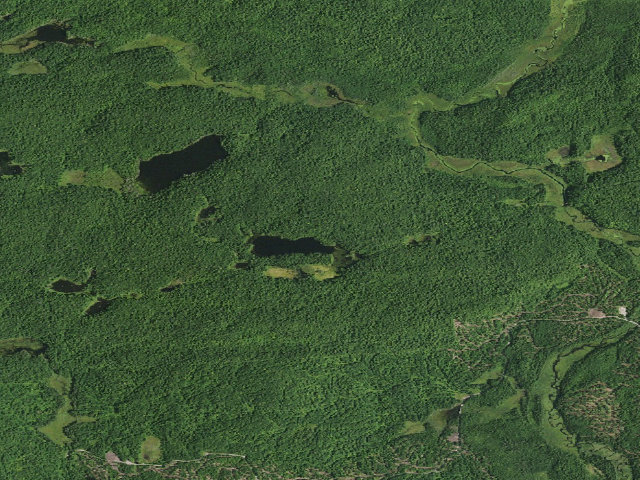 Aerial image of Lillypad Pond Campsite [DEC #1900] (White Hill Wild Forest)
