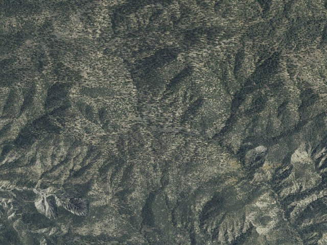 Aerial image of Lily Meadows Camp