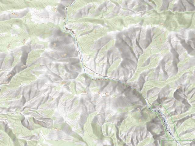 USGS topographic map of Lily Meadows Camp