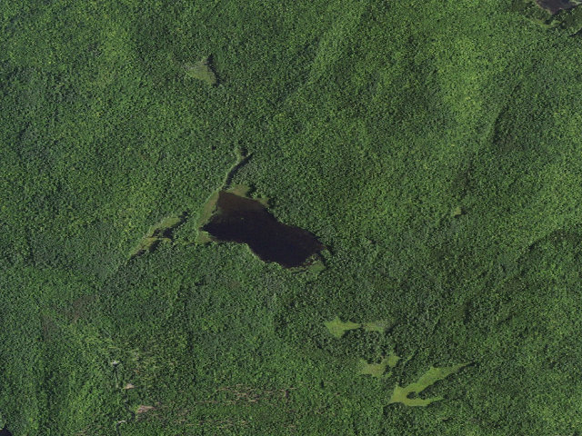 Aerial image of Lily Pond Campsite 1 (Lake George Wild Forest)
