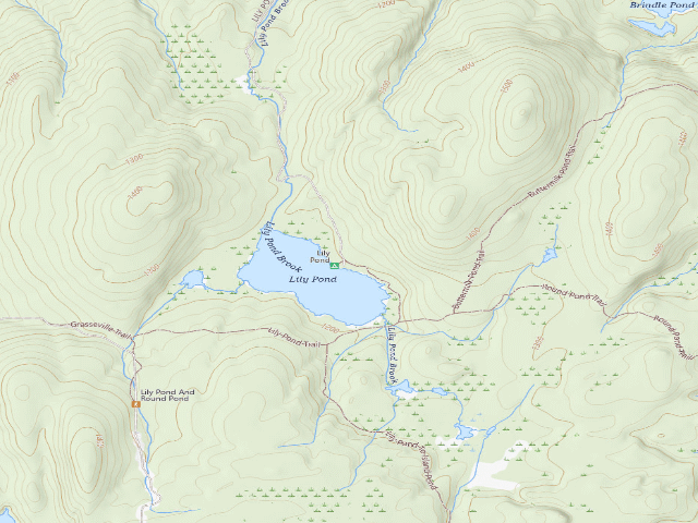 USGS topographic map of Lily Pond Campsite 1 (Lake George Wild Forest)