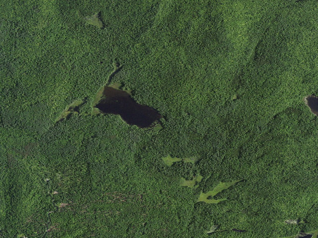 Aerial image of Lily Pond Campsite 2 (Lake George Wild Forest)