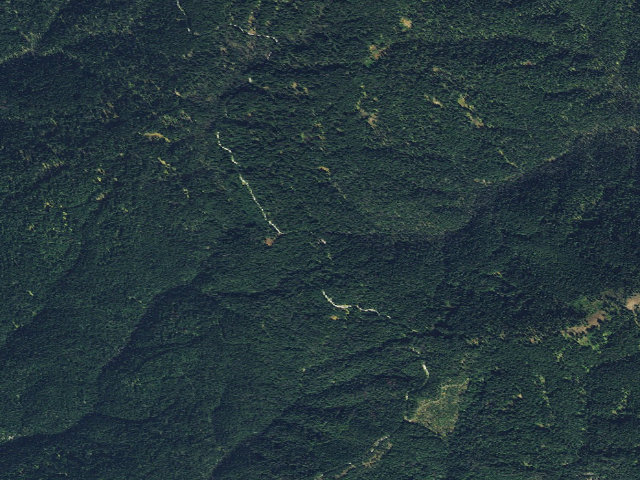 Aerial image of Limber Luke