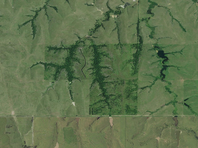 Aerial image of Limestone Bluffs WMA