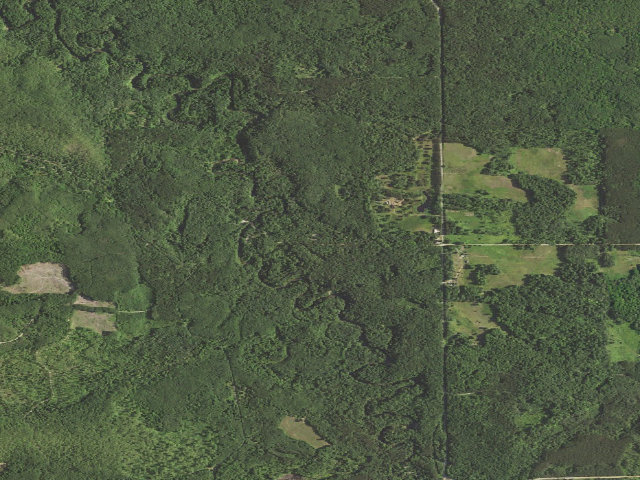 Aerial image of Lincoln Bridge State Forest Campground