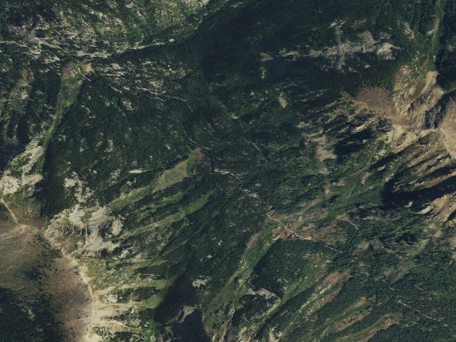 Aerial image of Lincoln Creek dispersed campsite #5
