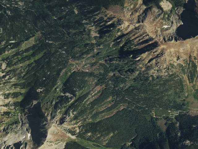 Aerial image of Lincoln Creek dispersed campsite #8
