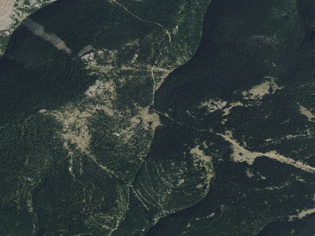 Aerial image of Lion-01