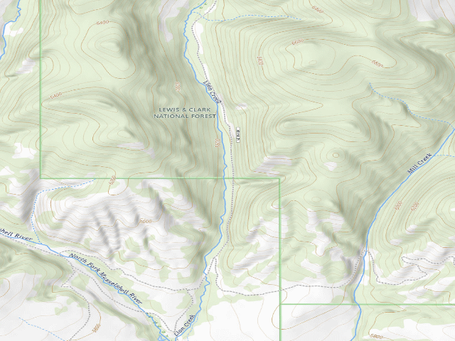 USGS topographic map of Lion Cr-Lower Camp