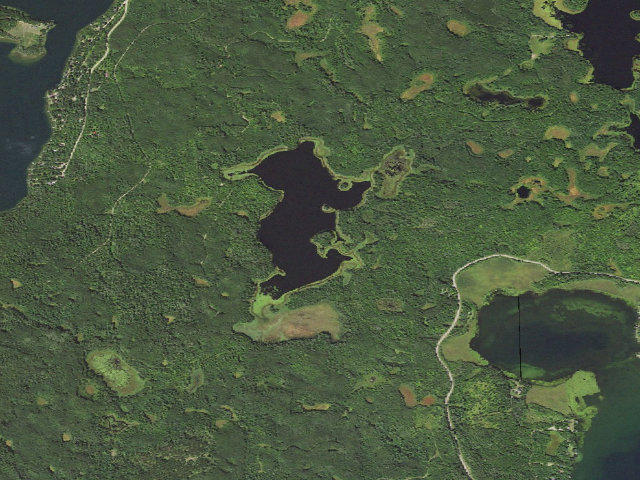 Aerial image of Little Bass Island - W13