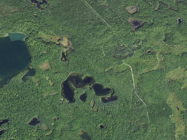 Aerial image of Little Bass Lake Camping Area