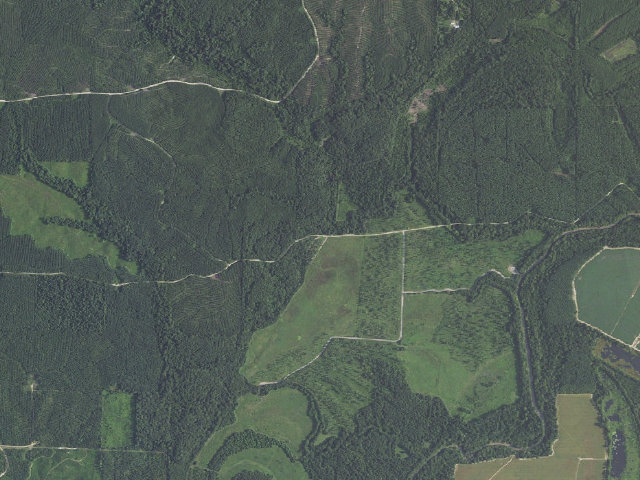 Aerial image of Little Bayou Camping Area