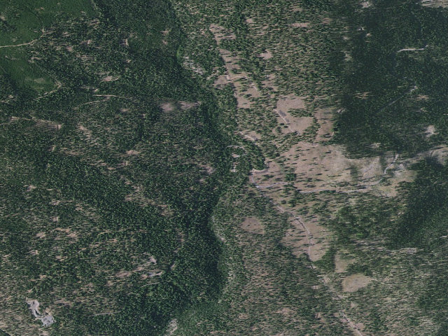 Aerial image of Little Crane