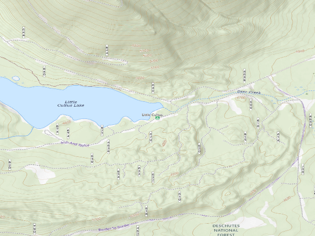USGS topographic map of Little Cultus