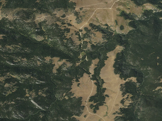 Aerial image of Little Goose