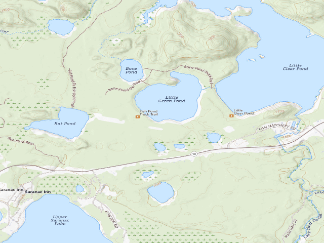 USGS topographic map of Little Green Pond Site 10 (Saranac Lakes Wild Forest)