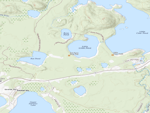 USGS topographic map of Little Green Pond Site 11 (Saranac Lakes Wild Forest)