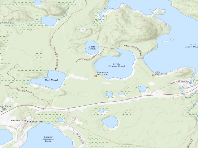 USGS topographic map of Little Green Pond Site 12 (Saranac Lakes Wild Forest)