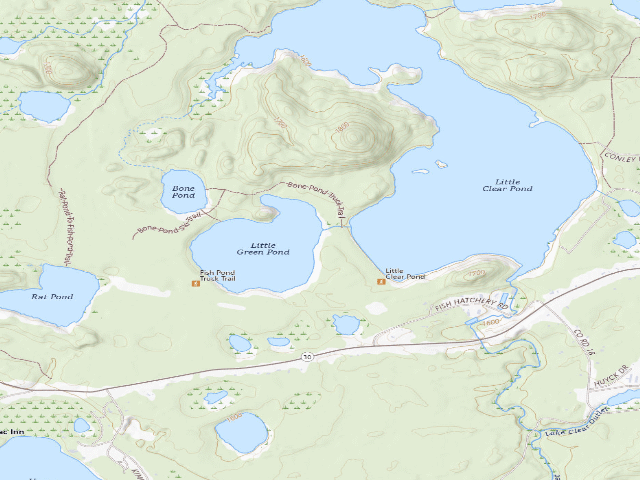 USGS topographic map of Little Green Pond Site 4 (Saranac Lakes Wild Forest)