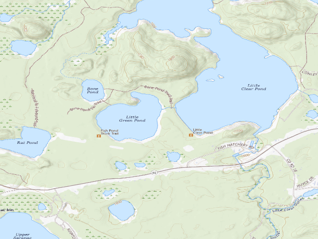 USGS topographic map of Little Green Pond Site 5 (Saranac Lakes Wild Forest)