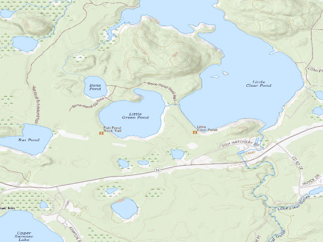 USGS topographic map of Little Green Pond Site 6 (Saranac Lakes Wild Forest)