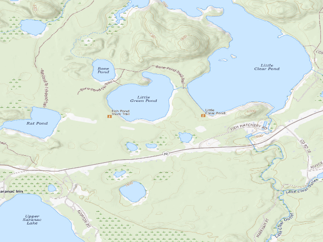 USGS topographic map of Little Green Pond Site 7 (Saranac Lakes Wild Forest)