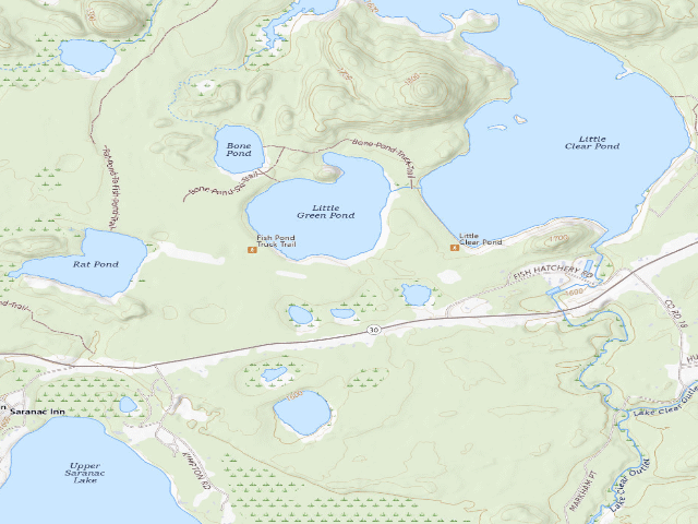 USGS topographic map of Little Green Pond Site 8 (Saranac Lakes Wild Forest)