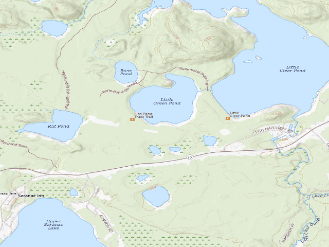 USGS topographic map of Little Green Pond Site 9 (Saranac Lakes Wild Forest)