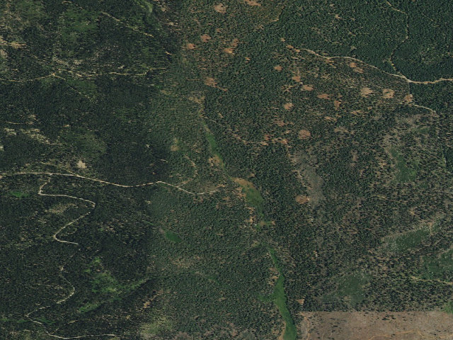 Aerial image of Little Grizzly