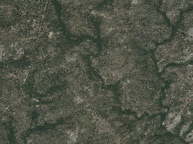 Aerial image of Little Jackass