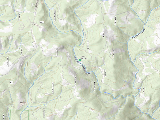 USGS topographic map of Little Jackass