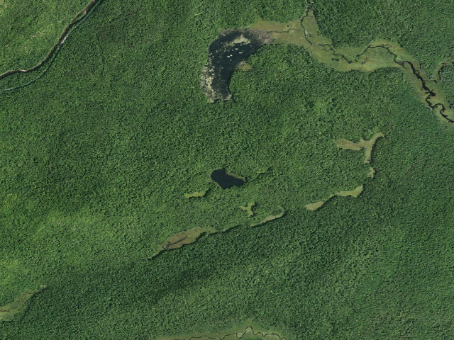 Aerial image of Little Joe Pond Campsite (Wilcox Lake Wild Forest)