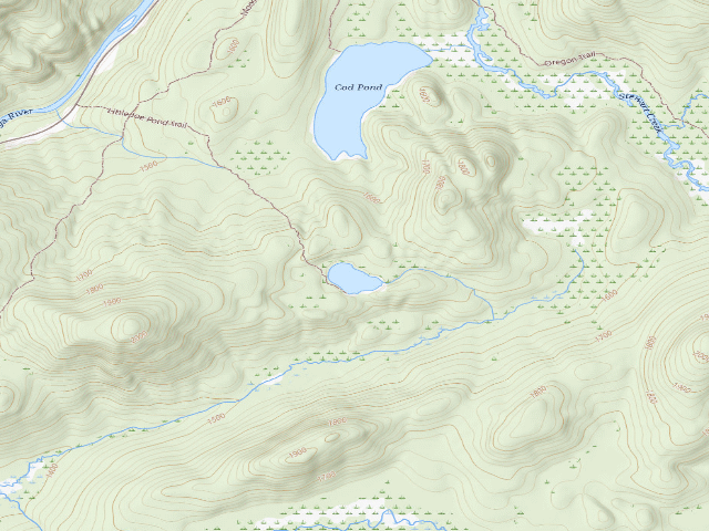USGS topographic map of Little Joe Pond Campsite (Wilcox Lake Wild Forest)
