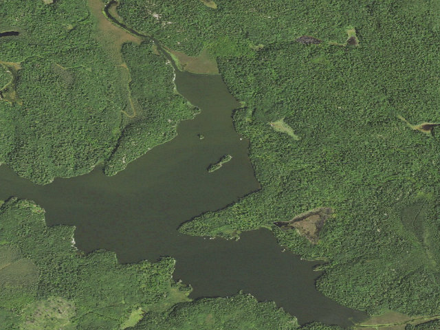 Aerial image of Little Johnson Lake Site 1