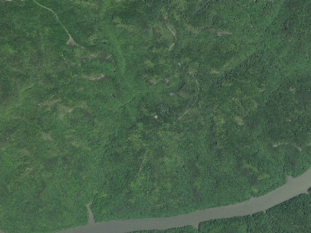 Aerial image of Little Lick Horse Camp
