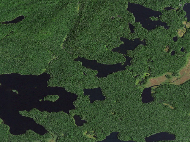 Aerial image of Little Long Pond East Site 1 (Saint Regis Canoe Area)