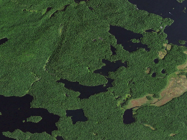 Aerial image of Little Long Pond East Site 2 (Saint Regis Canoe Area)