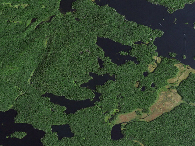 Aerial image of Little Long Pond East Site 3 (Saint Regis Canoe Area)