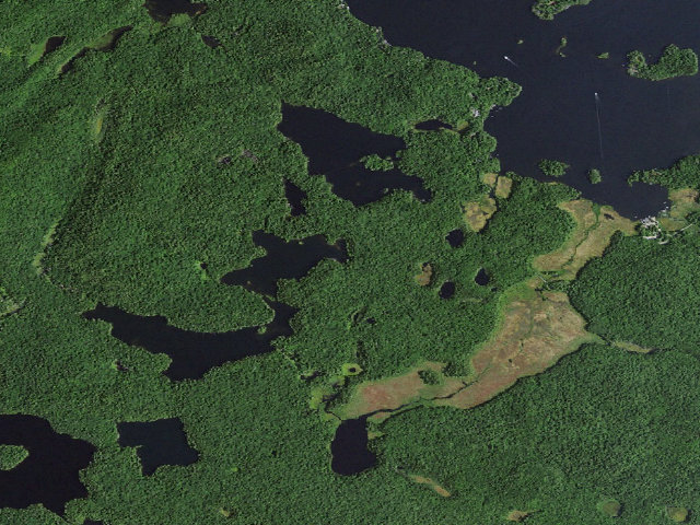 Aerial image of Little Long Pond East Site 4 (Saint Regis Canoe Area)