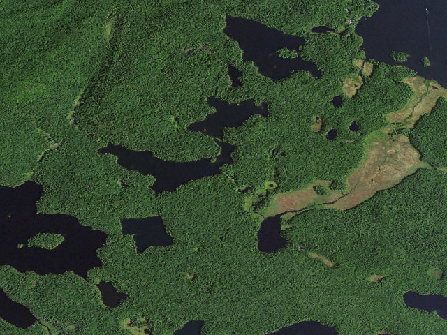 Aerial image of Little Long Pond East Site 5 (Saint Regis Canoe Area)