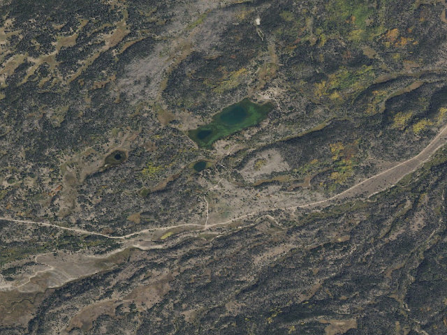 Aerial image of Little Lyman Lake