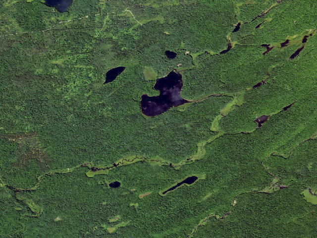 Aerial image of Little Otter Campsite (Independence River Wild Forest)
