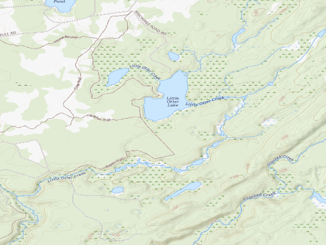 USGS topographic map of Little Otter Campsite (Independence River Wild Forest)