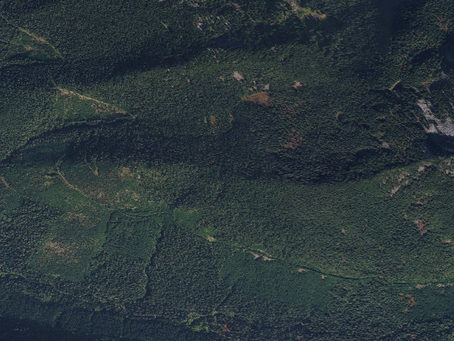 Aerial image of Little Park Creek