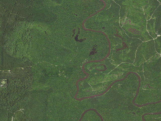 Aerial image of Little River WMA primitive camping area 2